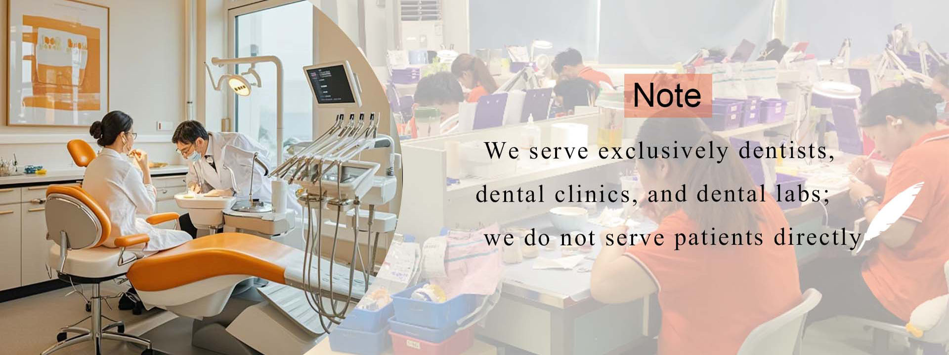 Qualität Zahnkrone aus Zirkonia usine