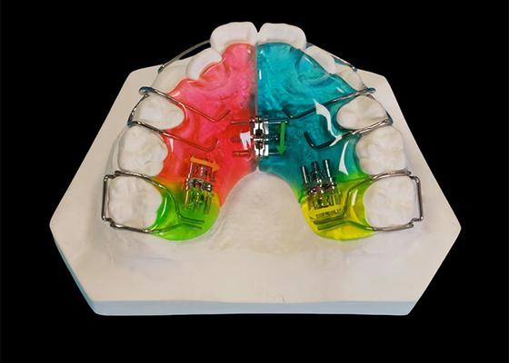Guter Preis Klinisch erprobtes, abnehmbares Zahngerät, bequemer Ortho-Halter. Online