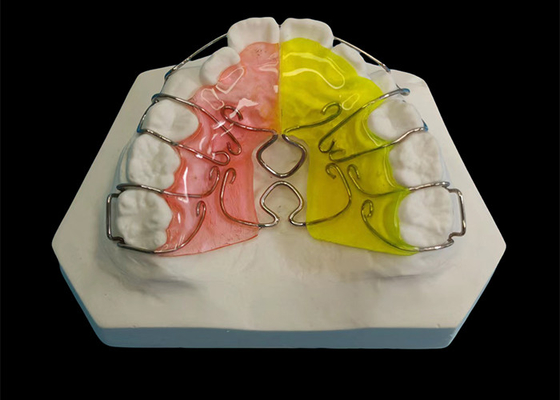 Guter Preis Maßgeschneiderte Orthodontik entfernbare Geräte, verstellbarer Expandor Orthodontik Online